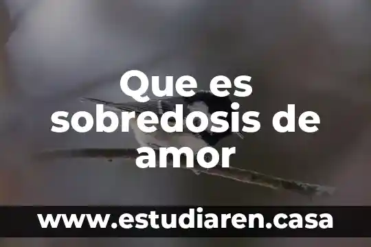 Que es amor ciencia 7 Que es sobredosis de amor