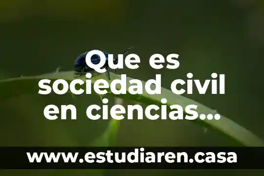 Que es la religion definicion en ciencias sociales 3 Que es sociedad civil en ciencias sociales