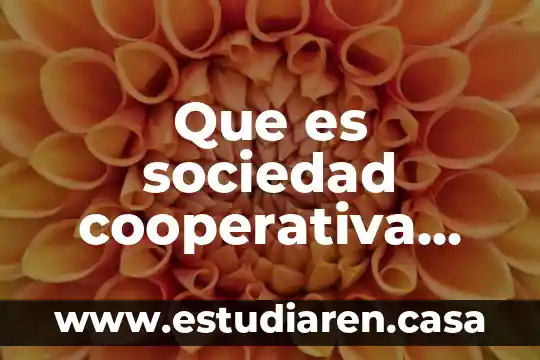 Que es sociedad cooperativa simple