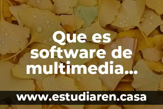Que es software de multimedia redalyc