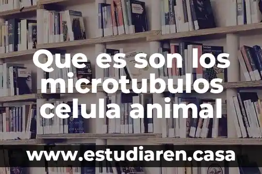 Que es son los microtubulos celula animal