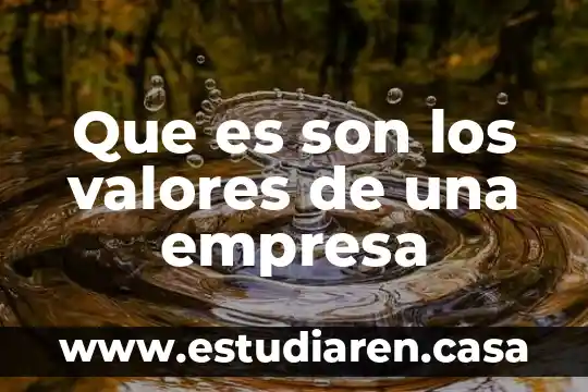 Que es son los valores de una empresa