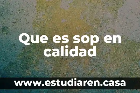 Que es sop en calidad 17 Que es sop en calidad