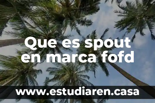 Que es spout en marca fofd
