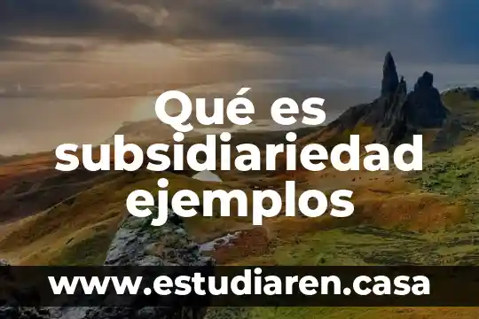 Qué es subsidiariedad ejemplos
