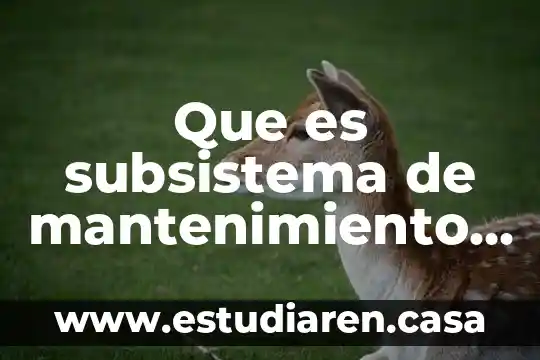Que es la indivisibilidad en los derechos humanos 7 Que es subsistema de mantenimiento de recursos humanos