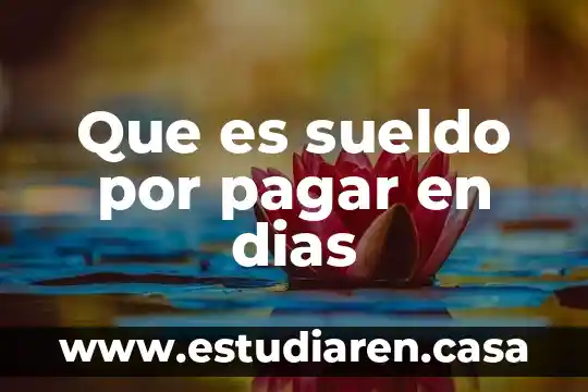 Que es sueldo por pagar en dias