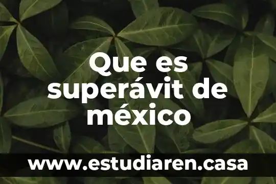 Que es apoderado aduanal en mexico 3 Que es superávit de méxico