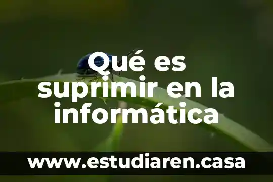 Qué es suprimir en Word 3 Qué es suprimir en la informática