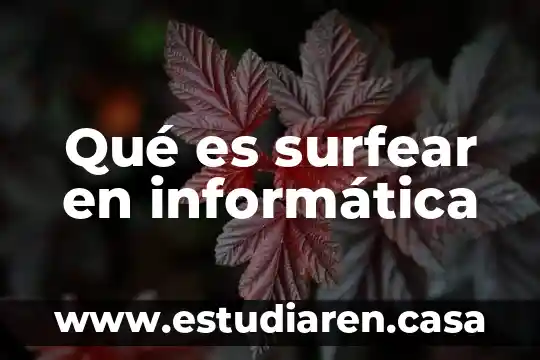 Qué es surfear en informática