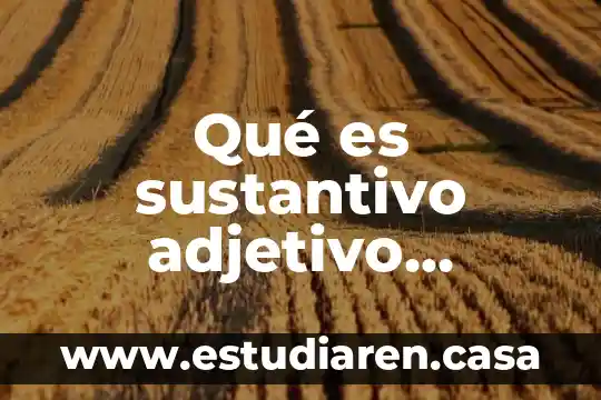 Qué es un adverbio de tiempo modo 8 Qué es sustantivo adjetivo artículo y adverbio