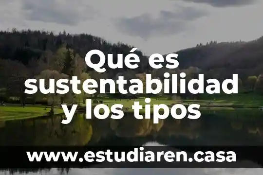 Qué es la pielonefritis y tipos 3 Qué es sustentabilidad y los tipos
