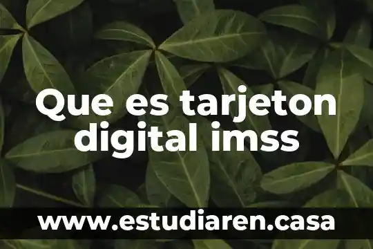 Que es respuesta de recuperacion segun imss 8 Que es tarjeton digital imss