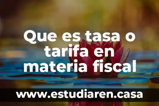Que es la tarifa area 8 Que es tasa o tarifa en materia fiscal