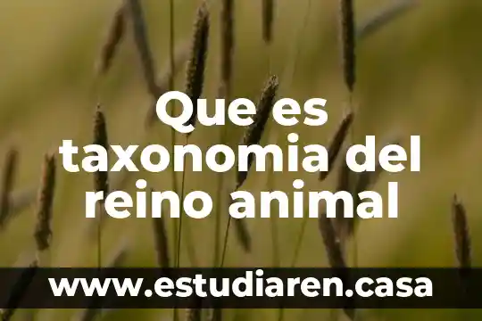 Que es taxonomia del reino animal