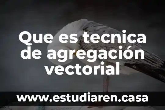Que es la tecnica de flotado 5 Que es tecnica de agregación vectorial