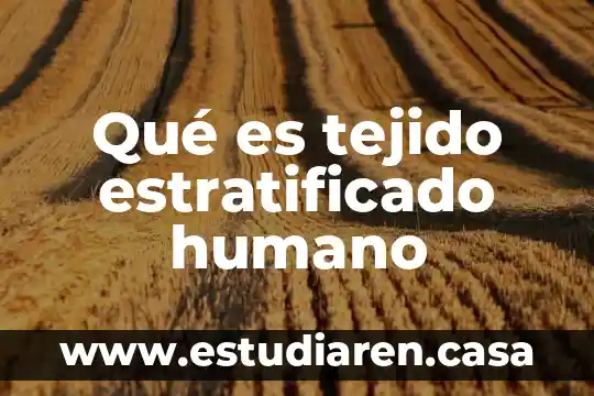 Qué es tejido estratificado humano