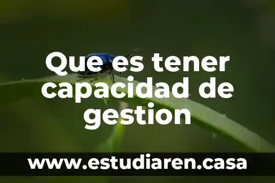 Que es tener capacidad de gestion