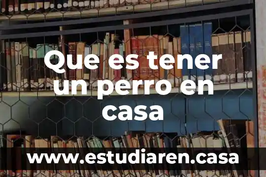 Que es tener fobia social 6 Que es tener un perro en casa