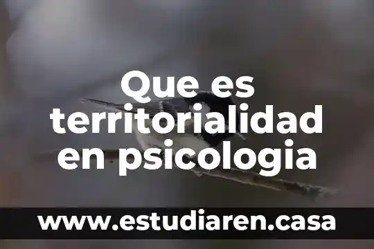 Que es territorialidad en psicologia