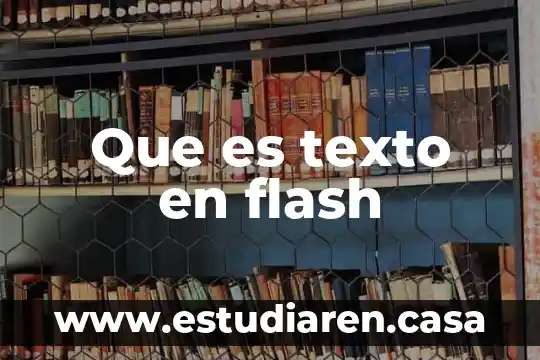 Que es texto en flash
