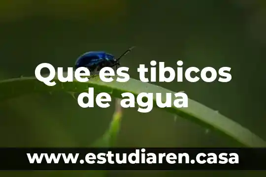 Que es un estanque de acomulacion de agua 5 Que es tibicos de agua