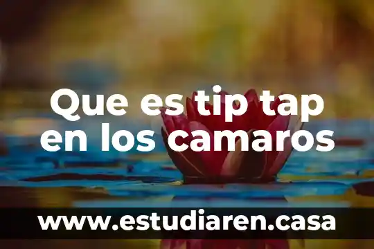 Tip 41 que es 4 Que es tip tap en los camaros