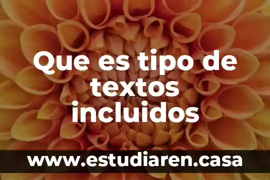 Que es procesdor de textos 5 Que es tipo de textos incluidos