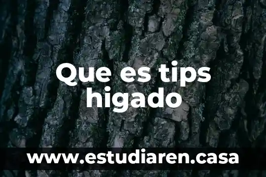Qué es el sistema enzimático del hígado 3 Que es tips higado