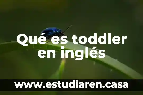 Que es verbo auxiliar do en ingles 3 Qué es toddler en inglés