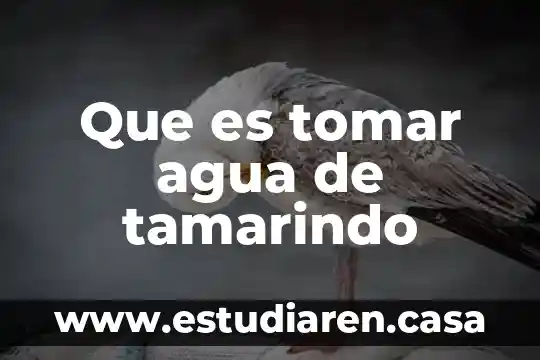 Que es tomar agua de tamarindo