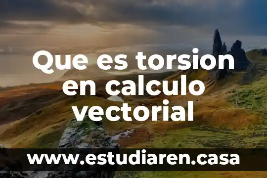 Qué es el cálculo tensorial en física 4 Que es torsion en calculo vectorial