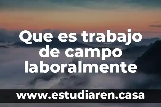 Que es un licenciado en trabajo social 3 Que es trabajo de campo laboralmente