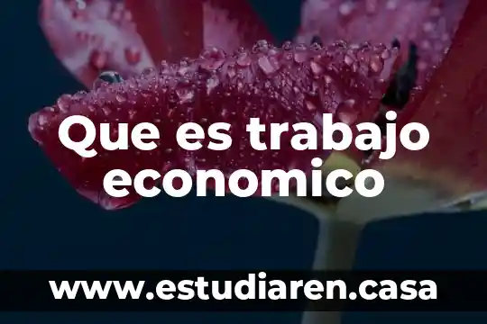Que es trabajo economico