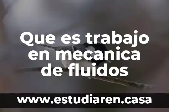 Que es un flujo en mecanica de fluidos 3 Que es trabajo en mecanica de fluidos