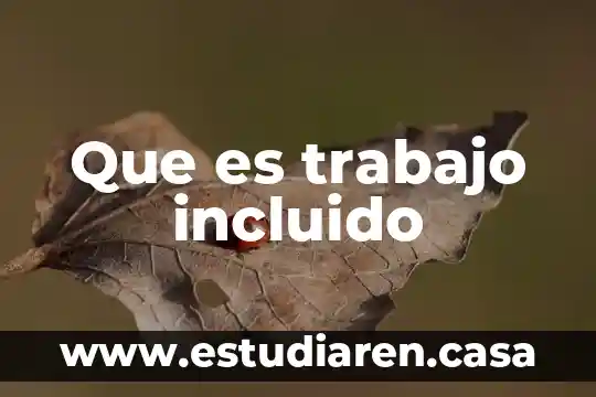 Que es el argumento de un trabajo 8 Que es trabajo incluido