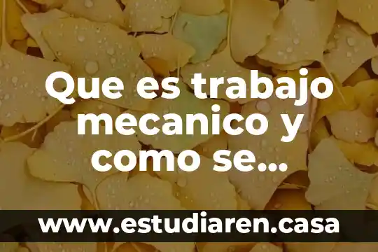 Óptico mecánico que es 4 Que es trabajo mecanico y como se calcula