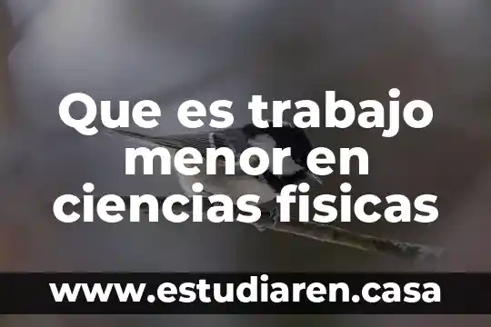 Que es trabajo menor en ciencias fisicas