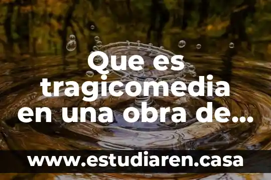 Que es un proyecto artistico en teatro 6 Que es tragicomedia en una obra de teatro