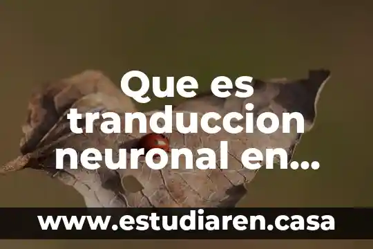 Que es tranduccion neuronal en psicologia