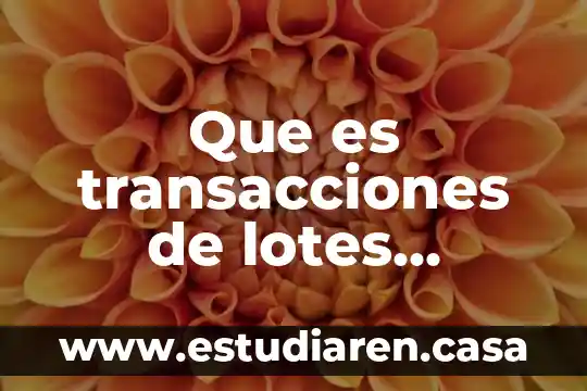 Que es transacciones de lotes incompletos en el analisis tecnico