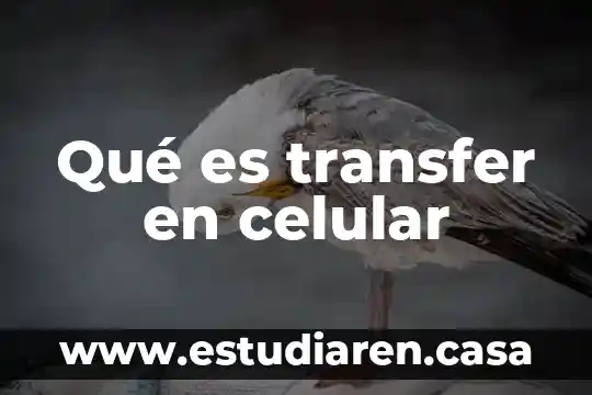 Qué es transfer en celular