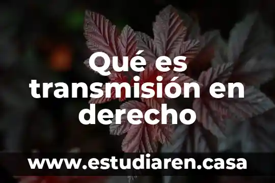 Por que es importante el derecho para un humanista 7 Qué es transmisión en derecho