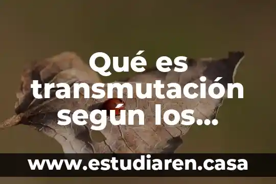 Qué es transmutación según los alquimistas