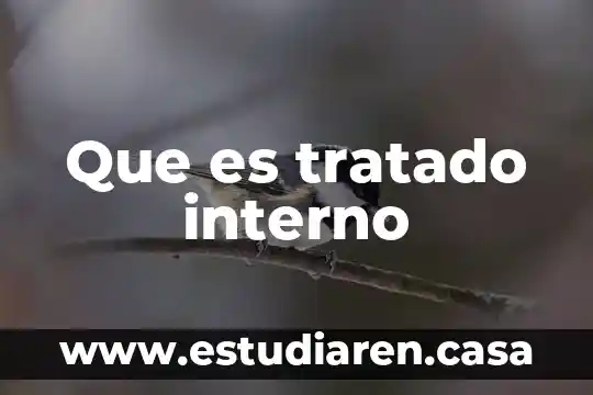 Que es tratado interno