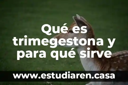 El concepto de calculo que es y para que sirve 3 Qué es trimegestona y para qué sirve