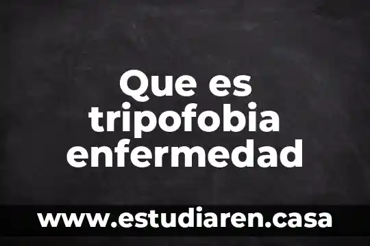 Que es el saldo medio por periodo de liquidaci贸n 6 Que es tripofobia enfermedad