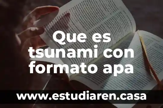 Que es el formato apa redalyc 5 Que es tsunami con formato apa