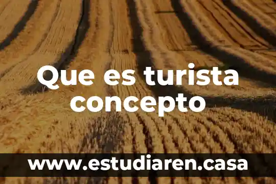 Que es turista concepto