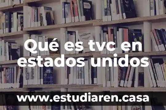 Qué es lo que exporta Francia a Estados Unidos 8 Qué es tvc en estados unidos